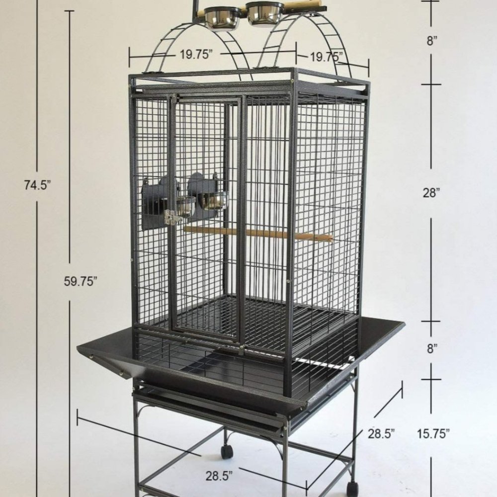 Bird cage for sale